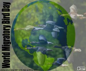 Puzzle Παγκόσμια ημέρα μεταναστευτικών πουλιών